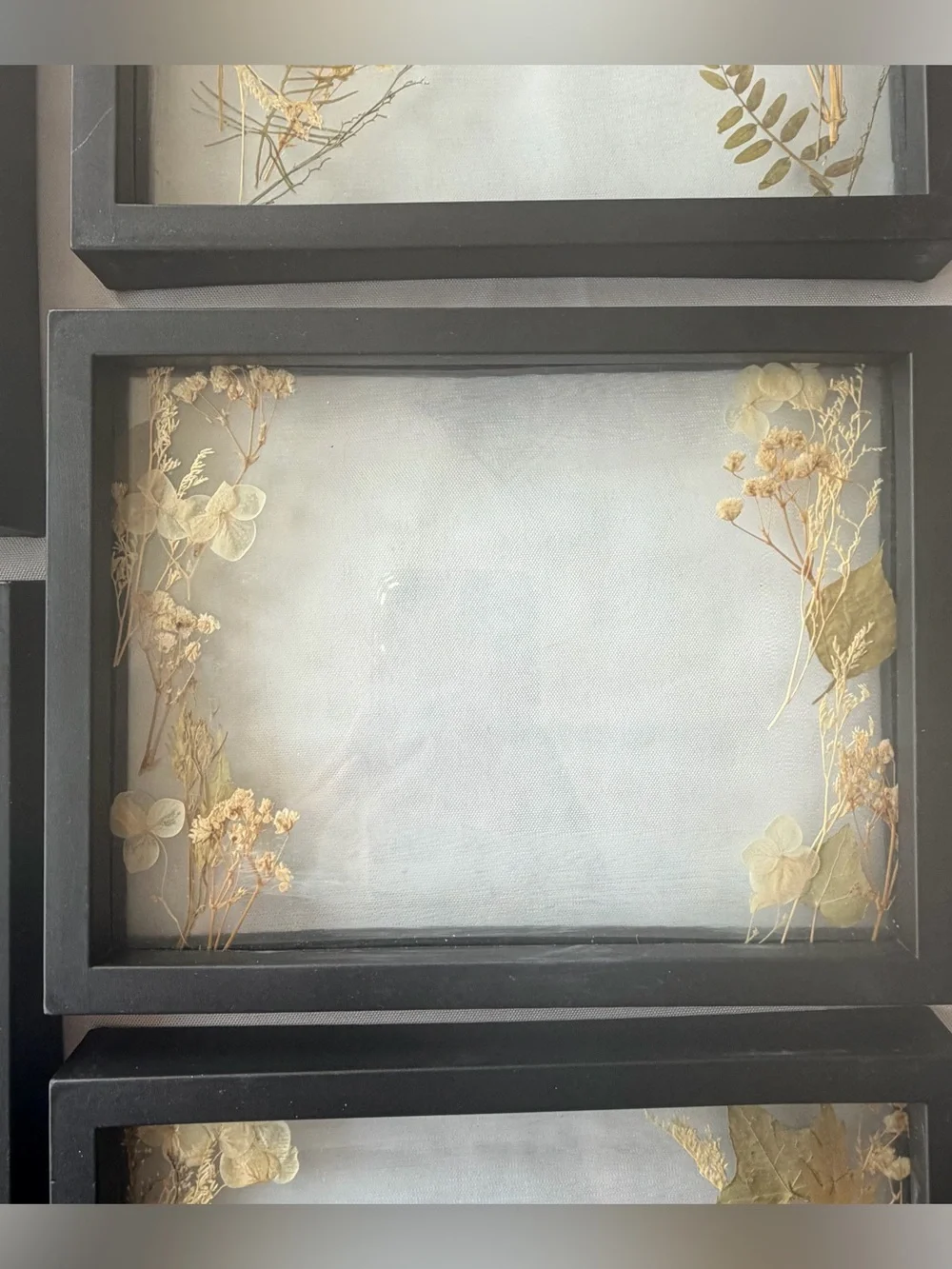 Lot of‎ 5 black picture frames with dried flowers wedding party decor